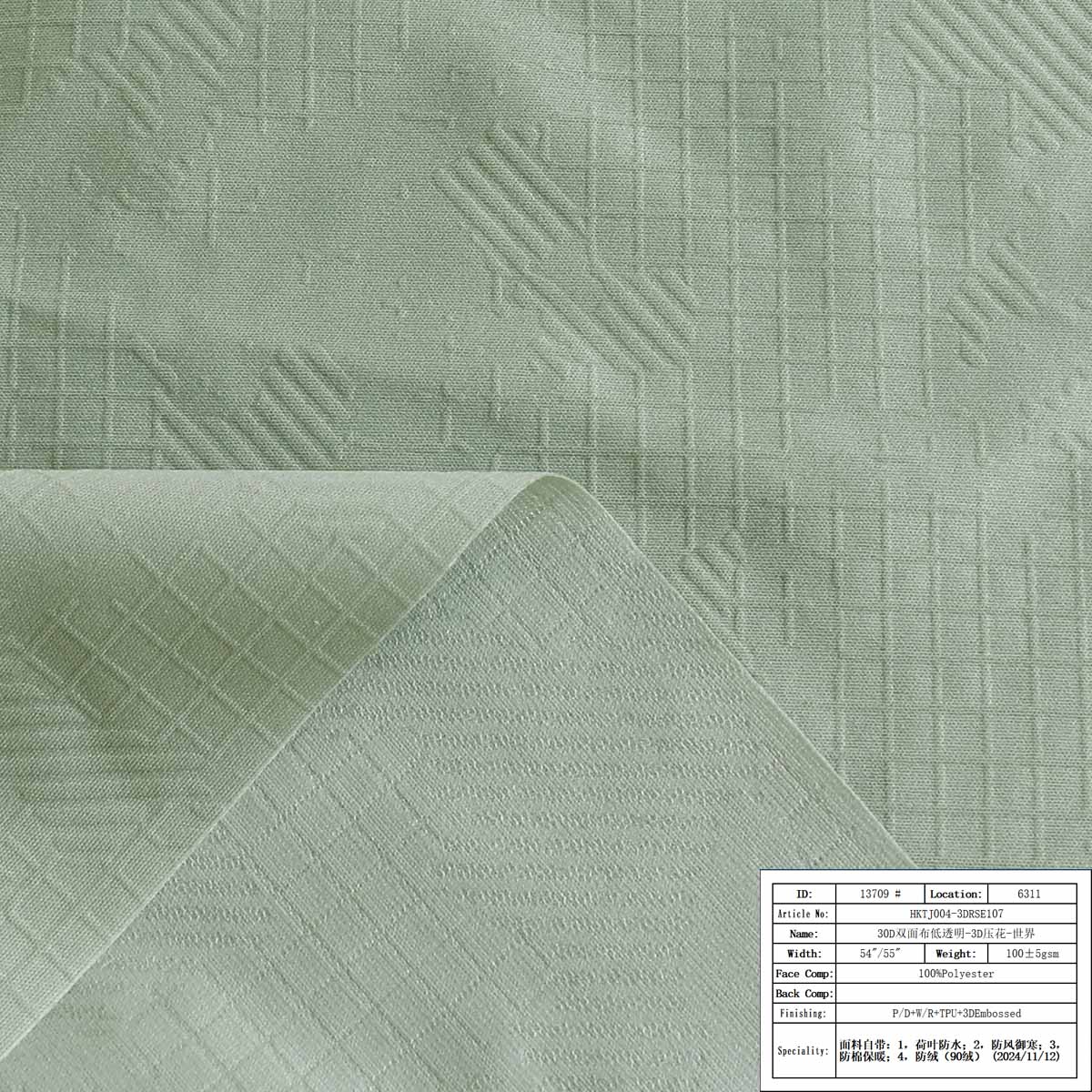 HKTJ004-3DRSE107-30D双面布低透明-3D压花-世界